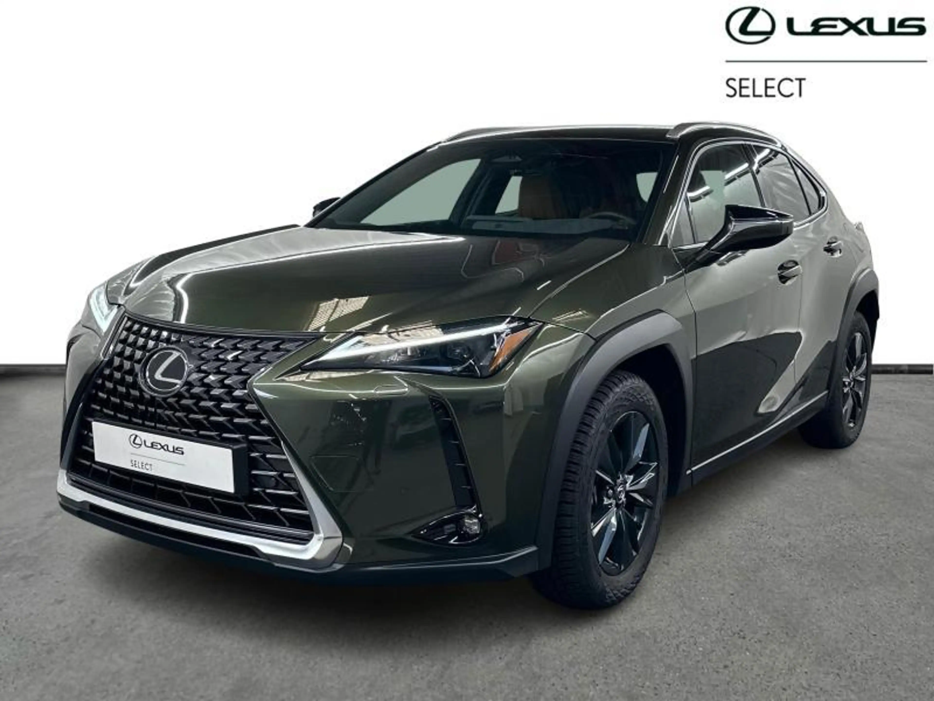 Lexus UX 300h 199hp HEV Business Line | winter pack | all season