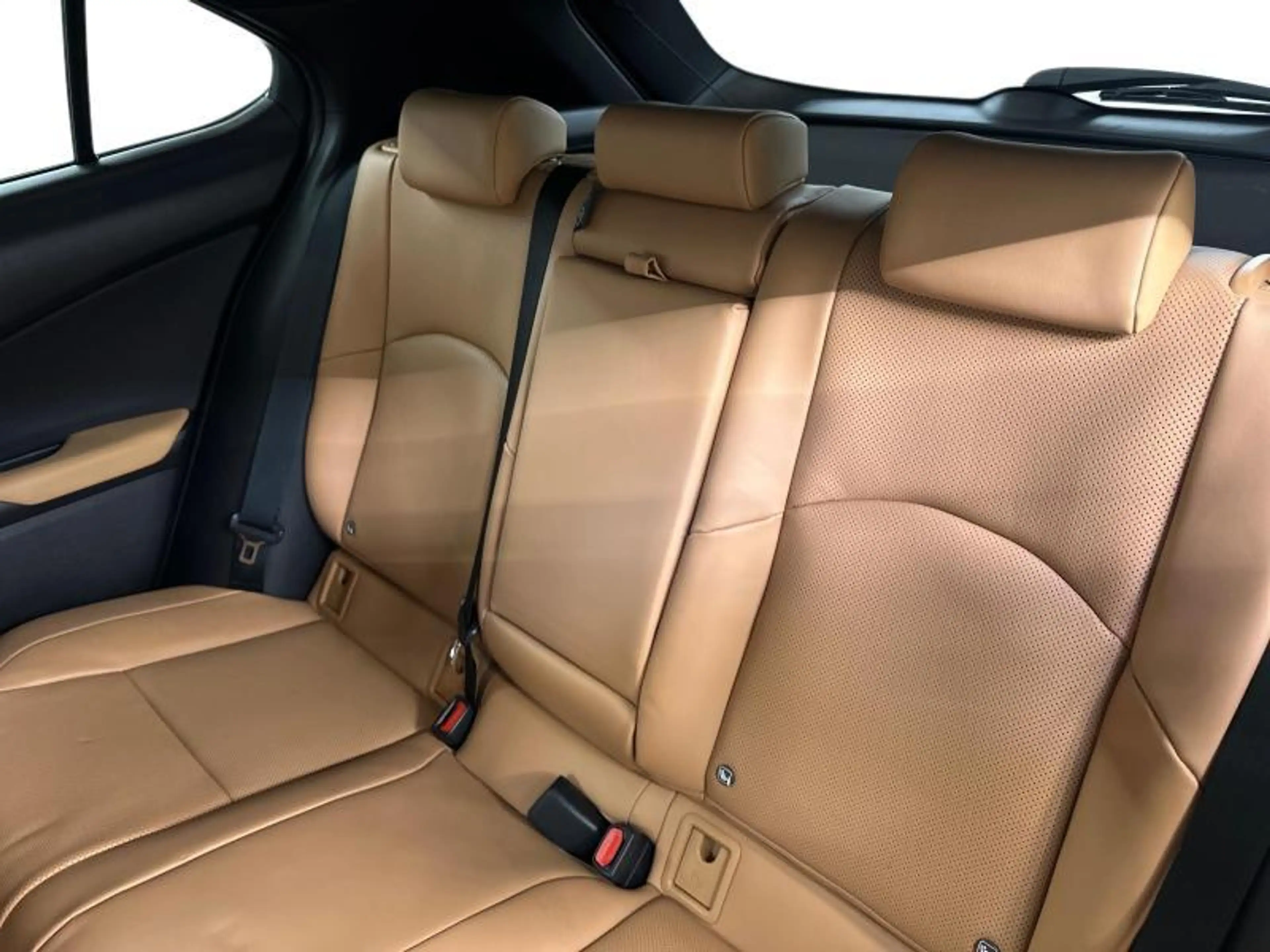 Lexus UX 300h 199hp HEV Business Line | winter pack | all season — photo 10