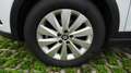 SEAT Arona FAST LANE Reference Weiß - thumbnail 3