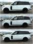 Land Rover Range Rover 5.0 V8 Autobiography VOLL *AKTION* Weiß - thumbnail 14
