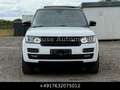 Land Rover Range Rover 5.0 V8 Autobiography VOLL *AKTION* Weiß - thumbnail 5