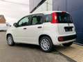 Fiat Panda City II Blanc - thumbnail 3