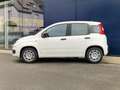 Fiat Panda City II Blanc - thumbnail 2