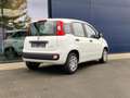 Fiat Panda City II Blanc - thumbnail 4