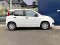 Fiat Panda City II Blanc - thumbnail 5