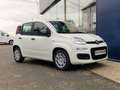Fiat Panda City II Blanc - thumbnail 6