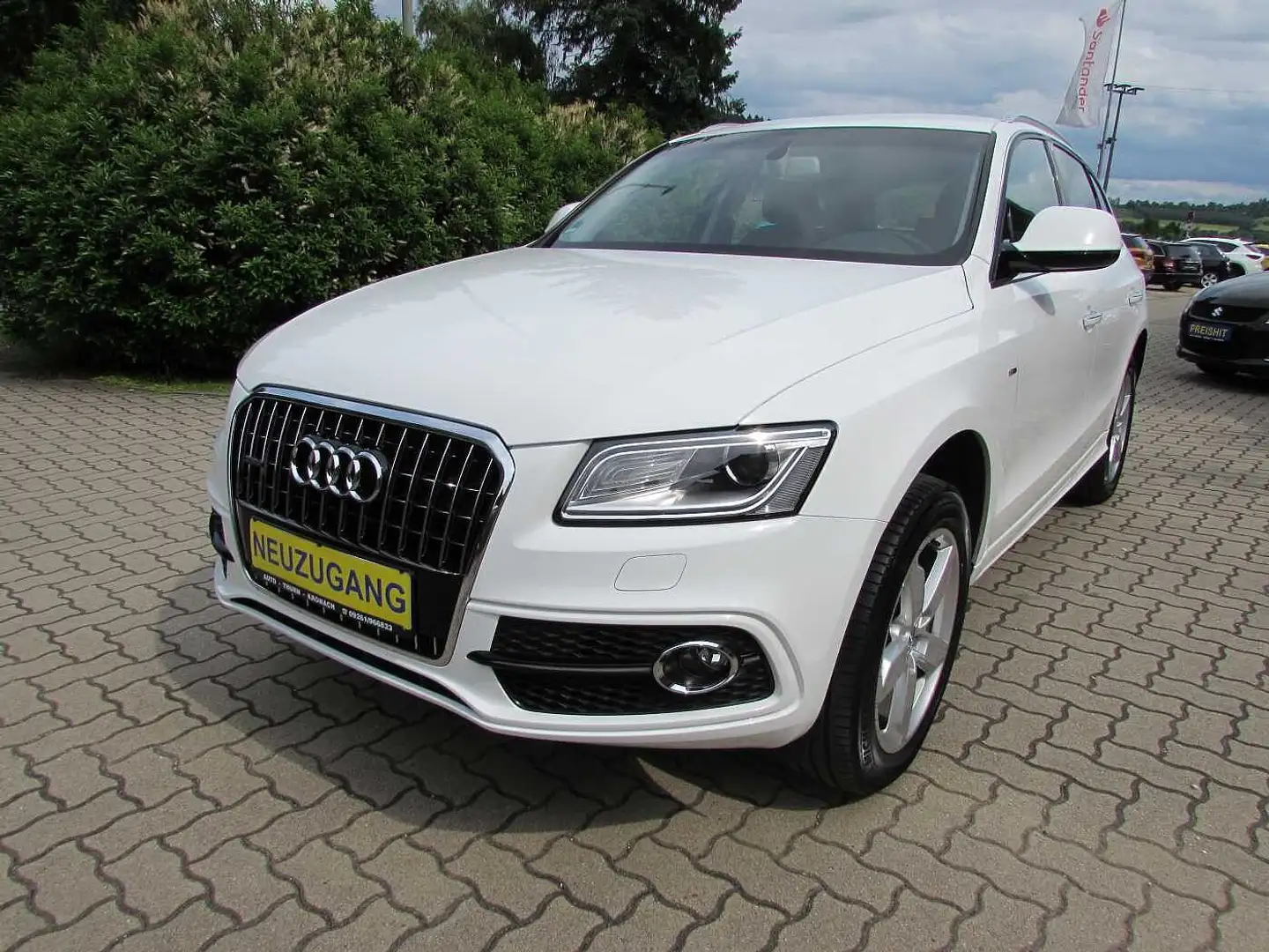 Audi Q5 2.0 TDI quattro (clean d.) S tron. S-Line Bianco - 1
