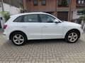 Audi Q5 2.0 TDI quattro (clean d.) S tron. S-Line Wit - thumbnail 6
