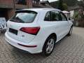 Audi Q5 2.0 TDI quattro (clean d.) S tron. S-Line Wit - thumbnail 5