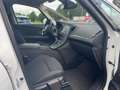 Renault Grand Scenic Limited Deluxe TCe 140 Weiß - thumbnail 11