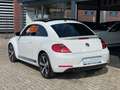 Volkswagen Beetle 1.4 TSI Sport PANO/STOELVERW/PDC/CRUISE/CLIMA/FEND Wit - thumbnail 4