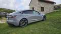 Tesla Model 3 Model 3 Long Range Dual Motor awd Grigio - thumbnail 4