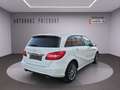 Mercedes-Benz B 200 CDI /Leder/Sport/ Blanc - thumbnail 5