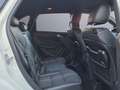 Mercedes-Benz B 200 CDI /Leder/Sport/ Blanc - thumbnail 12