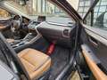 Lexus NX 300h 2.5i AWD Business Edition E-CVT Schwarz - thumbnail 9