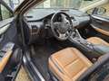 Lexus NX 300h 2.5i AWD Business Edition E-CVT Siyah - thumbnail 12