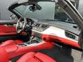 BMW Z4 2.0i Aut. Sportstoelen Leder Cruise PDC Xenon NL-a Grau - thumbnail 4