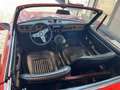 Fiat Fiat 850 Sport SPEIDER Cabrio Cabrio / Roadster Rojo - thumbnail 17