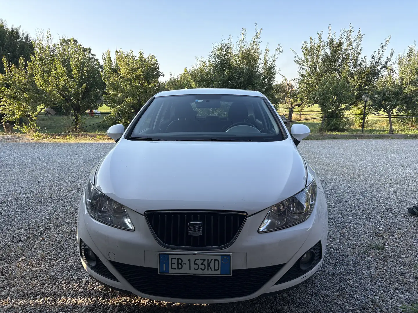 SEAT Ibiza 5p 1.2 tsi Style dsg Bianco - 2