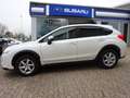 Subaru XV Comfort *AHK abn.* Blanc - thumbnail 2