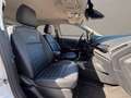 Ford EcoSport 1.0 ecoboost active s&s 125cv Bianco - thumbnail 9
