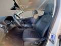 Ford EcoSport 1.0 ecoboost active s&s 125cv Bianco - thumbnail 14