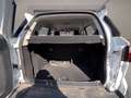 Ford EcoSport 1.0 ecoboost active s&s 125cv Bianco - thumbnail 12