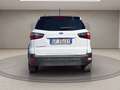 Ford EcoSport 1.0 ecoboost active s&s 125cv Bianco - thumbnail 6