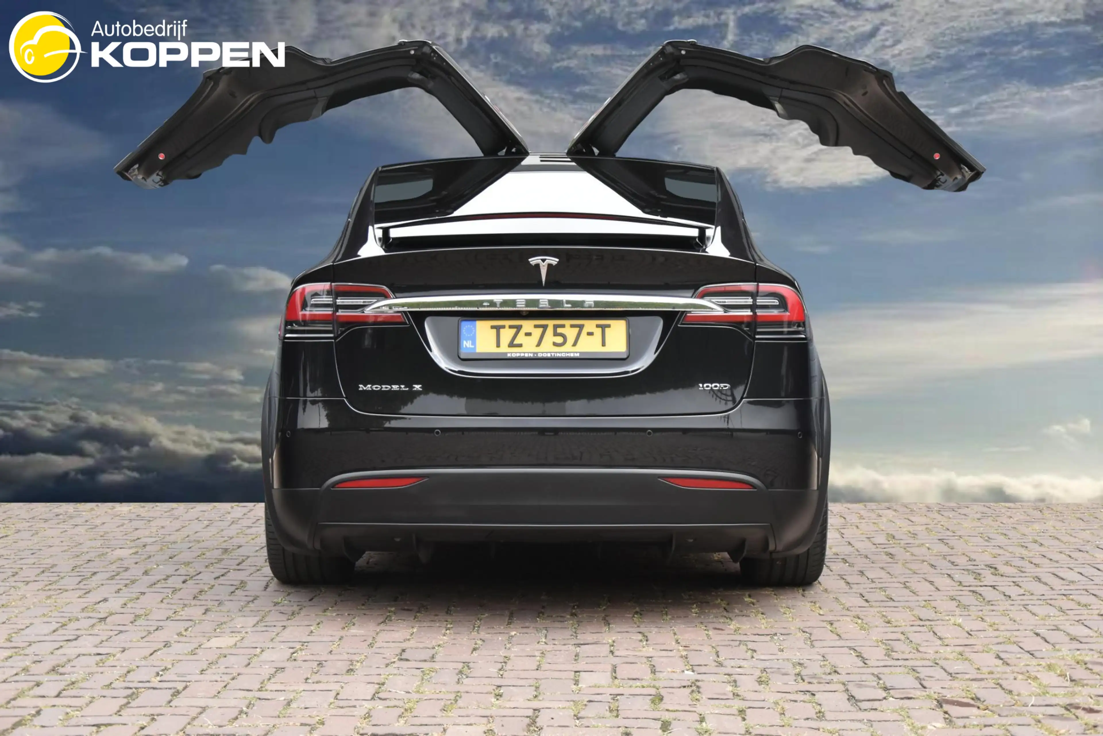 Tesla Model X 100D 7-persoons — photo 5