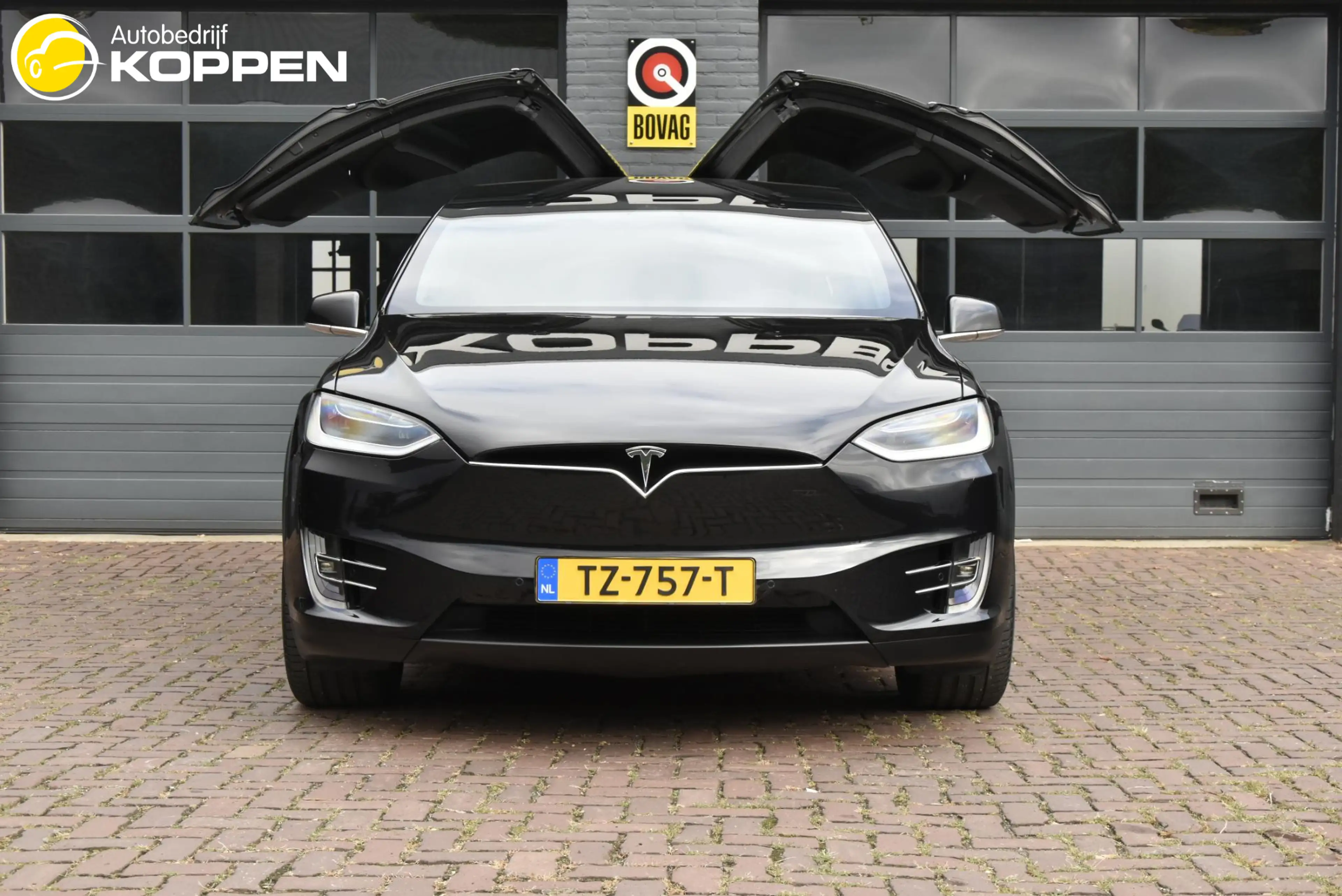 Tesla Model X 100D 7-persoons — photo 6