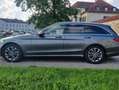 Mercedes-Benz C 250 C-Klasse T-Modell T 9G-TRONIC Avantgarde Grau - thumbnail 9