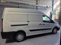 Citroen Jumpy 2.0 hdi TETTO ALTO Bianco - thumbnail 6
