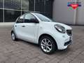 smart forFour electric drive / EQ Weiß - thumbnail 2