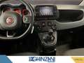 Fiat Panda Panda Cross 1.0 FireFly S&S Hybrid Rouge - thumbnail 10