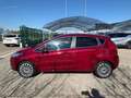 Ford Fiesta 1.4 5 porte Bz.- GPL Titanium Rosso - thumbnail 8