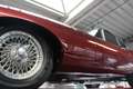 Jaguar E-Type 3.8 Series 1 Coupe "Matching Numbers" Extensive re Rouge - thumbnail 20