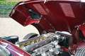 Jaguar E-Type 3.8 Series 1 Coupe "Matching Numbers" Extensive re Rouge - thumbnail 26