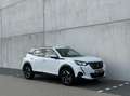 Peugeot 2008 1.2 Allure - Stoelvw - CarPlay - Cam- Nw distri Blanco - thumbnail 7
