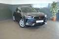 CUPRA Formentor 2.0 TDI 4Drive DSG +XL-Paket+5J/150TKM Grau - thumbnail 2