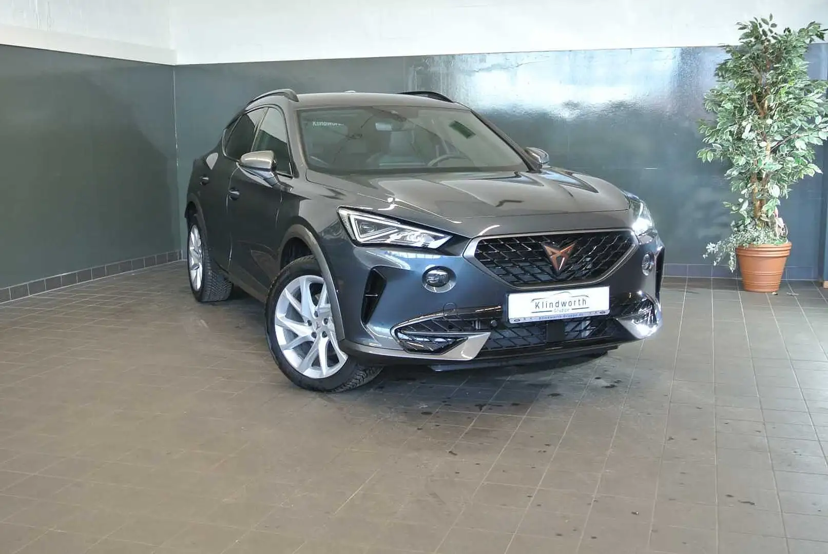 CUPRA Formentor 2.0 TDI 4Drive DSG +XL-Paket+5J/150TKM Grau - 2