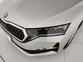 Skoda Octavia Octavia Wagon 2.0 tdi Executive 150cv dsg Argento - thumbnail 12
