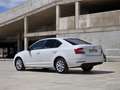 Skoda Octavia 2.0TDI CR Like Blanco - thumbnail 7