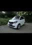 smart forTwo Basis 52kW (453.342) Weiß - thumbnail 1