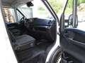 Iveco Daily Koffer  35 S 14   1250 KG Zuladung Weiß - thumbnail 14