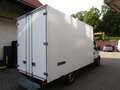 Iveco Daily Koffer  35 S 14   1250 KG Zuladung Weiß - thumbnail 2