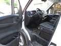 Iveco Daily Koffer  35 S 14   1250 KG Zuladung Weiß - thumbnail 3