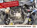 Ford EcoSport 1.0 ecoboost active s&s 125cv Bianco - thumbnail 12