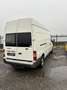 Ford Transit Bus Aufbau Wohnmobil White - thumbnail 2