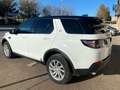 Land Rover Discovery Sport 2.0 td4 SE Business ed. Premium awd 150cv auto Bianco - thumbnail 5