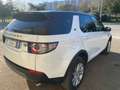 Land Rover Discovery Sport 2.0 td4 SE Business ed. Premium awd 150cv auto Bianco - thumbnail 4